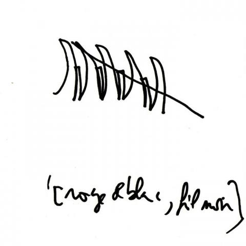 Ecrits de Virgile Novarina, extraits de ses 5000 "Ecrits et dessins de nuit"